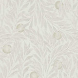 Orange Tree - 216404