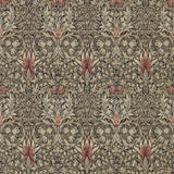 Snakeshead - 216425