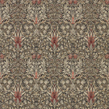 Snakeshead - 216425