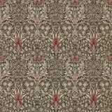 Snakeshead - 216425