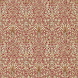 Snakeshead - 216426