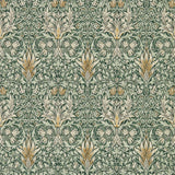 Snakeshead - 216427