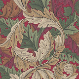 Acanthus - 216439