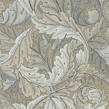 Acanthus - 216441