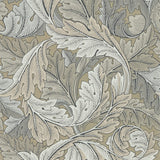 Acanthus - 216441