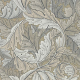 Acanthus - 216441