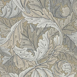 Acanthus - 216441