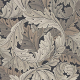 Acanthus - 216442