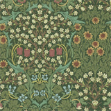 Blackthorn - 216456