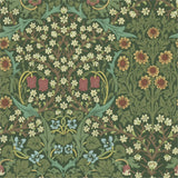 Blackthorn - 216456