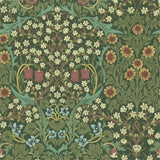 Blackthorn - 216456