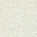Chrsyanthemum - 216457