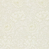 Chrsyanthemum - 216457
