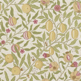 Fruit - 216459