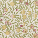 Fruit - 216459