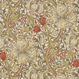 Golden Lily - 216462
