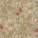 Golden Lily - 216462