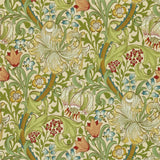 Golden Lily - 216464