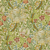 Golden Lily - 216464