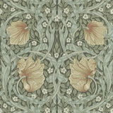 Pimpernel - 216470