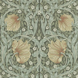 Pimpernel - 216470