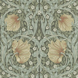 Pimpernel - 216470