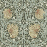 Pimpernel - 216470