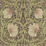 Pimpernel - 216471