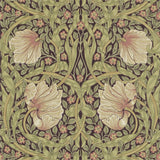 Pimpernel - 216471