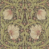 Pimpernel - 216471