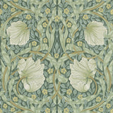 Pimpernel - 216472