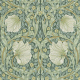 Pimpernel - 216472