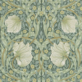 Pimpernel - 216472