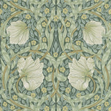 Pimpernel - 216472