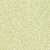 Standen - 216474
