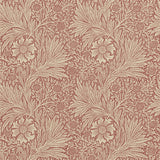 Marigold - 216482
