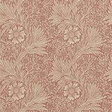 Marigold - 216482
