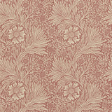 Marigold - 216482
