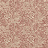 Marigold - 216482