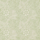 Marigold - 216483