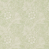 Marigold - 216483