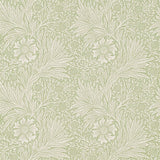 Marigold - 216483