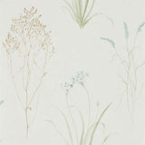 Farne Grasses - 216486