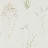 Farne Grasses - 216486