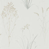 Farne Grasses - 216487