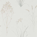 Farne Grasses - 216487