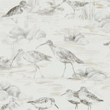 Estuary Birds - 216493