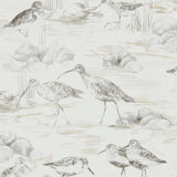 Estuary Birds - 216493
