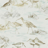 Estuary Birds - 216494
