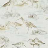 Estuary Birds - 216494